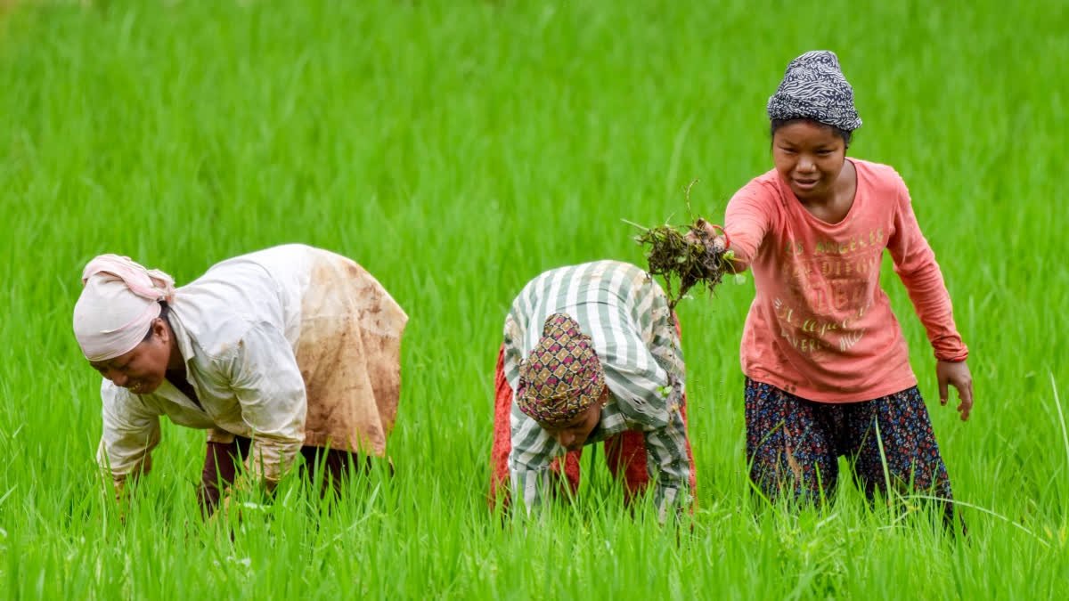Women Farmers Empowerment Bill Unanimously Passed In Maharashtra Assembly
