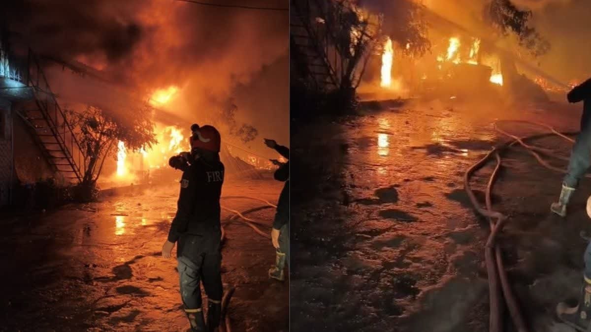 Massive Fire Breaks Out At Factory In Delhi's Chandan Hola Area; No Casualties Reported