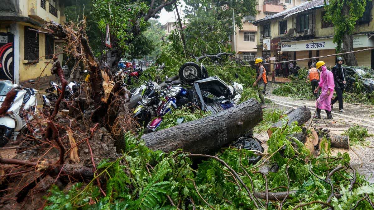 Six killed, One Injured In Chawl Collapse In Mumbai; NDRF At spot