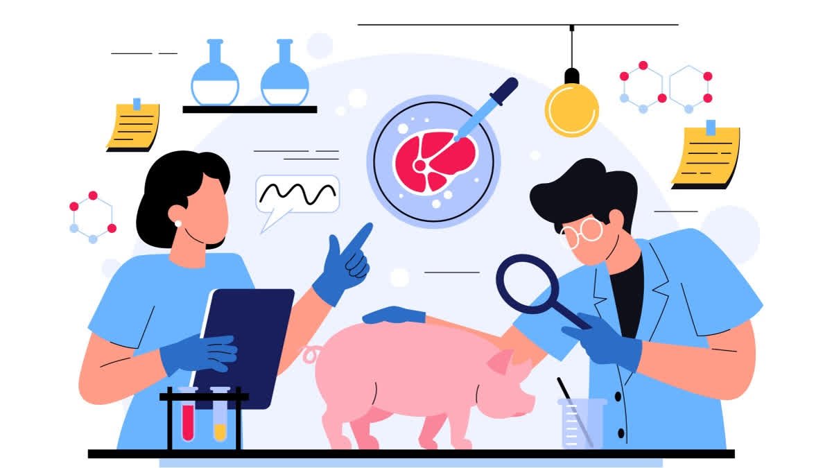 What Do COVID-19, Rabies, Bird Flu and Lyme Disease Have in Common? The Invisible Journey of Zoonotic Diseases On World Zoonoses Day