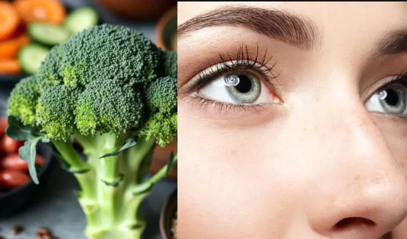 LVPEI study finds natural compounds in broccoli may protect against eye disease