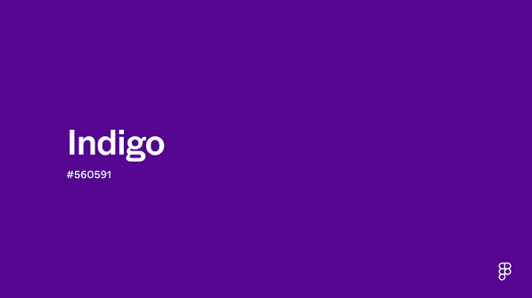 IndiGo charts global expansion as it completes 20 years of operations