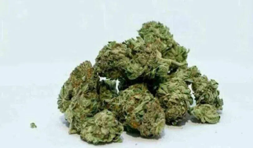 Five held with 38 kg ganja allegedly being transported from Araku to Mumbai